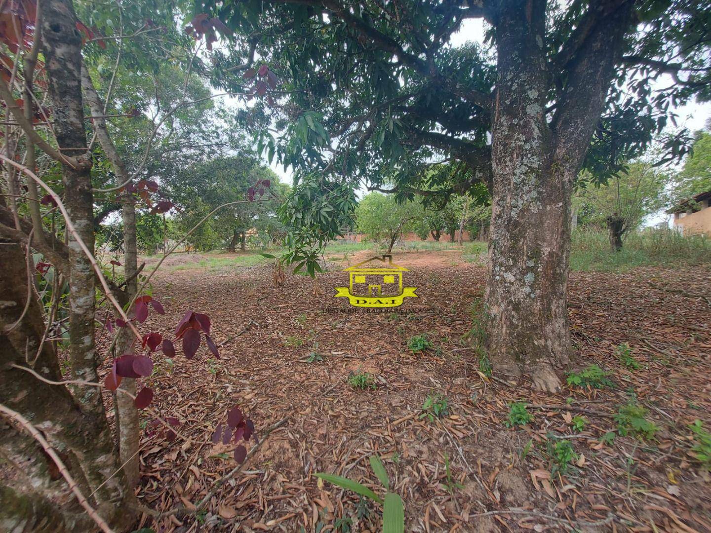 Terreno à venda, 1000M2 - Foto 7