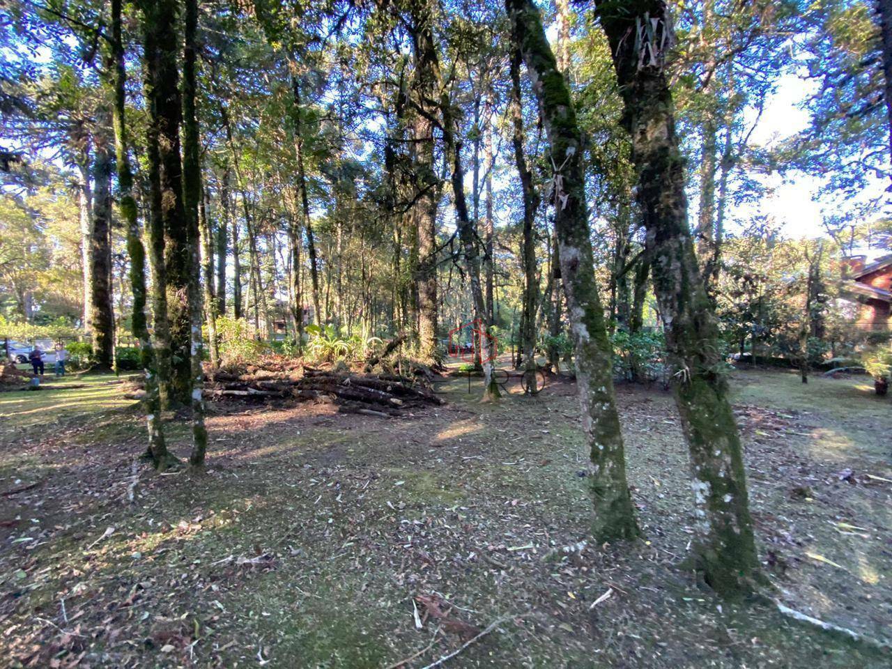 Terreno à venda, 2526M2 - Foto 5