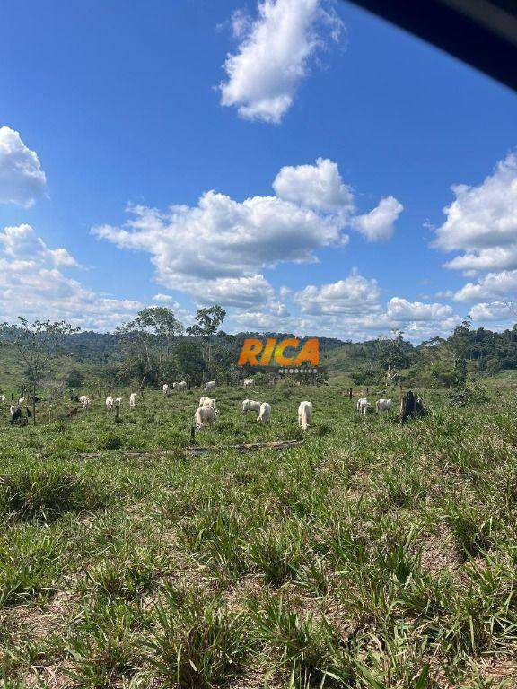 Fazenda à venda, 30000000M2 - Foto 16