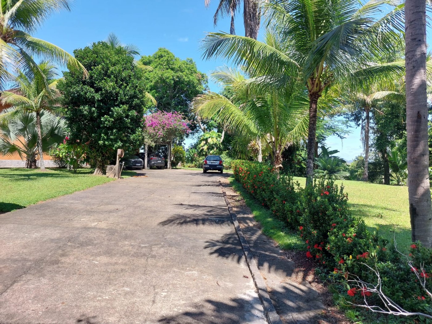 Sítio à venda com 7 quartos, 14m² - Foto 17