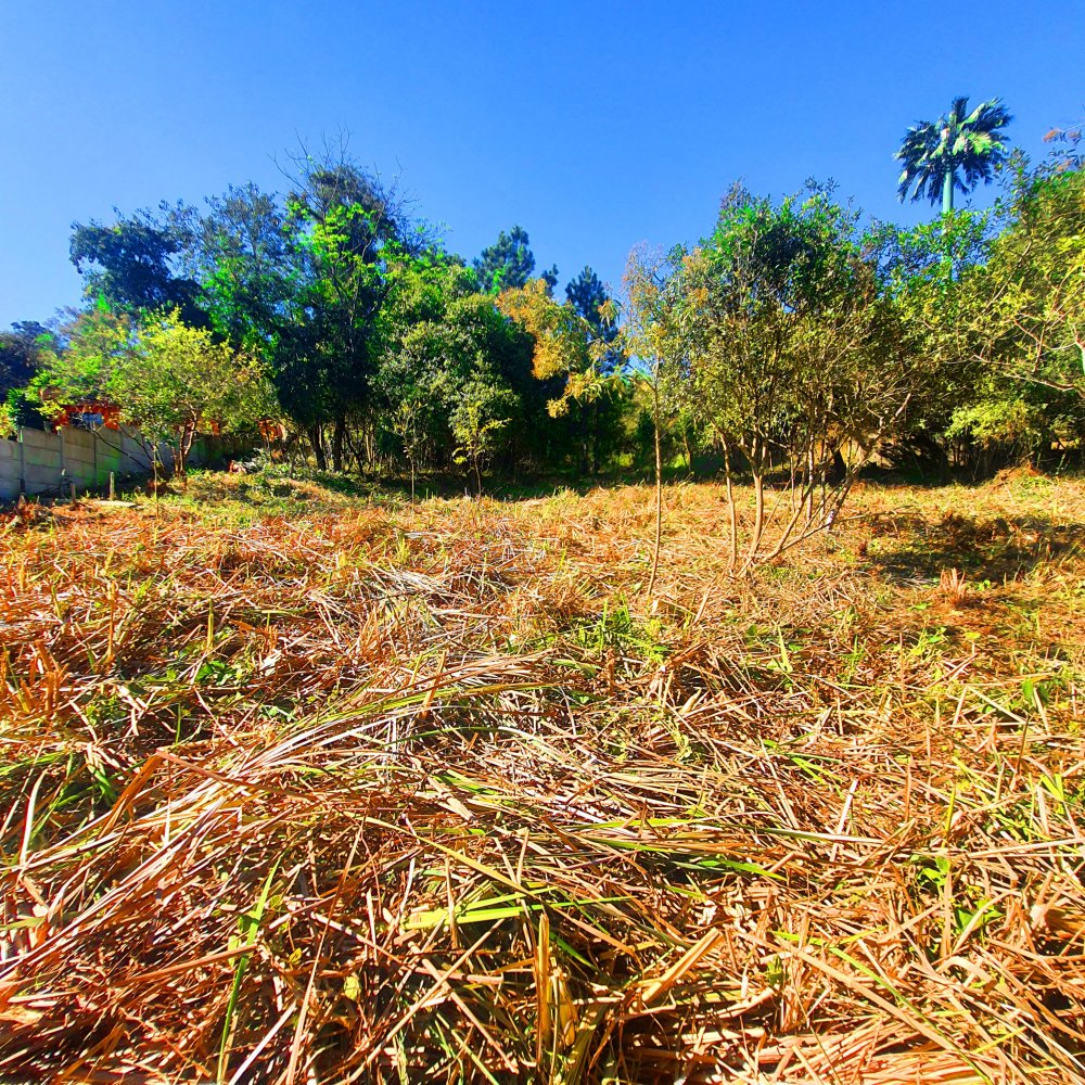 Terreno à venda, 1290m² - Foto 9