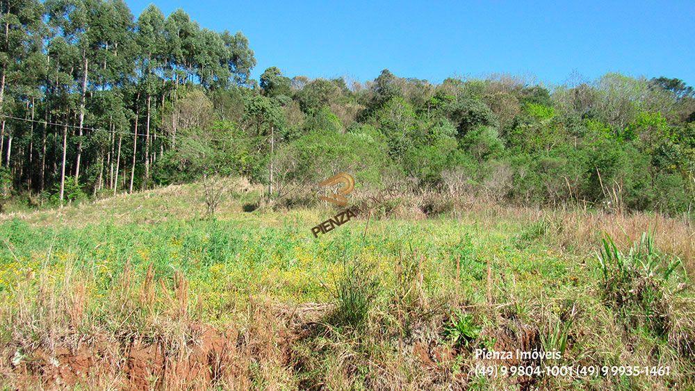 Terreno, 223 m² - Foto 4