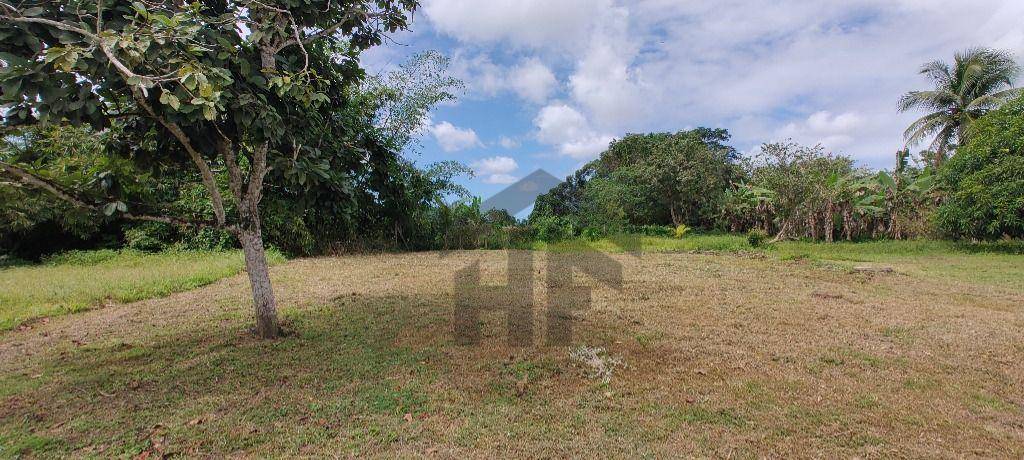 Terreno, 3393 m² - Foto 8