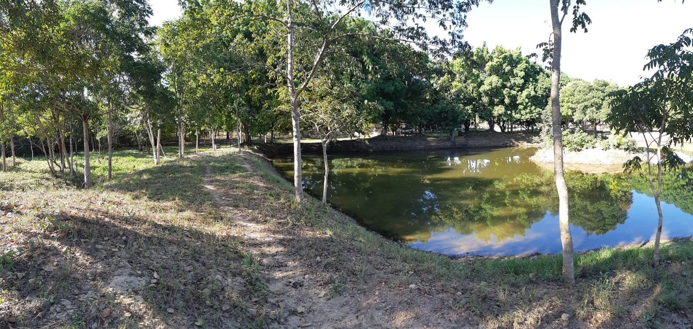 Chácara à venda com 3 quartos, 30000m² - Foto 30