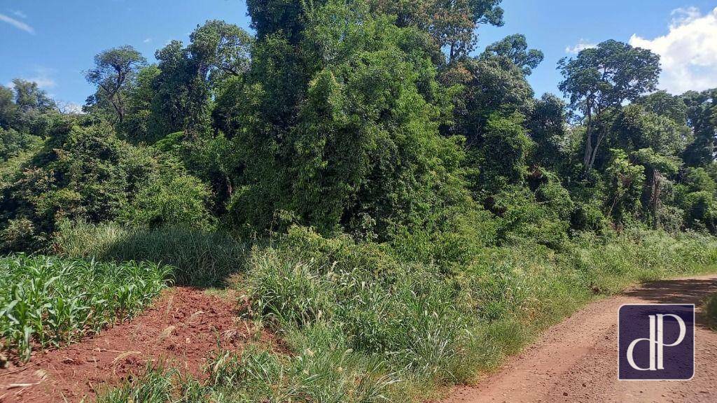 Terreno à venda, 121000M2 - Foto 2