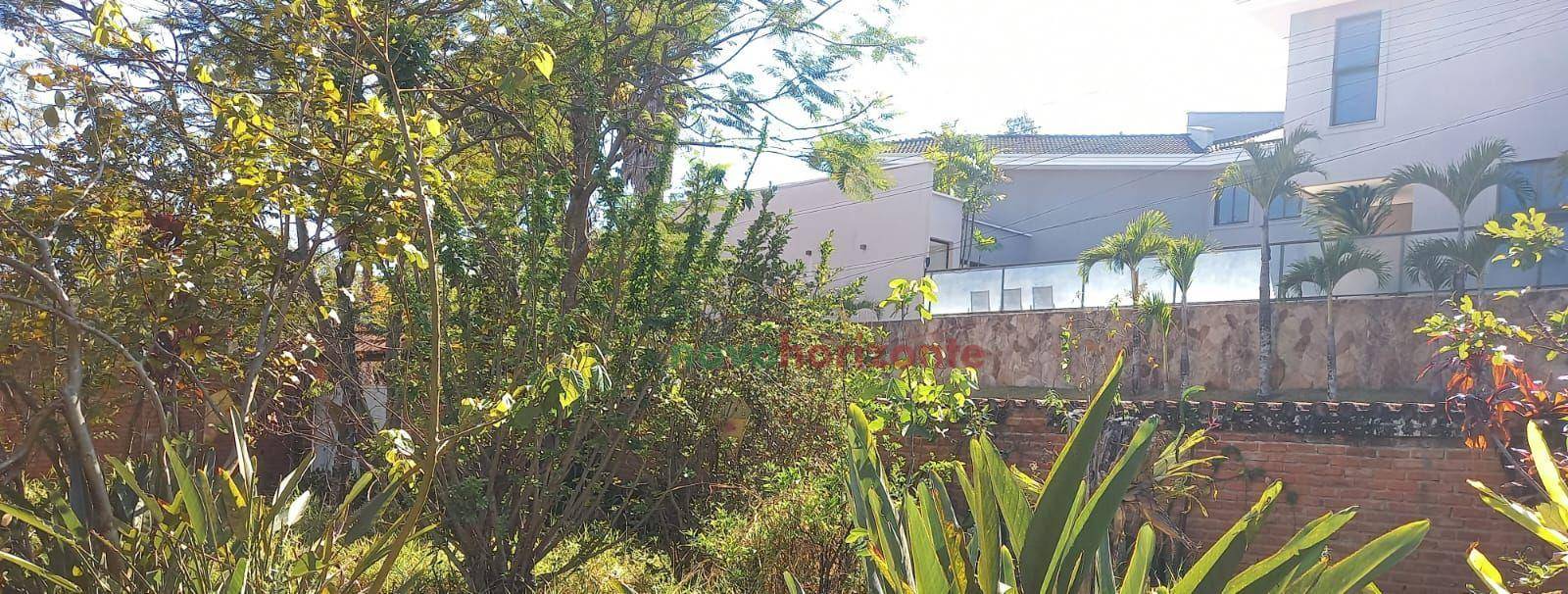 Chácara, 1000 m² - Foto 5