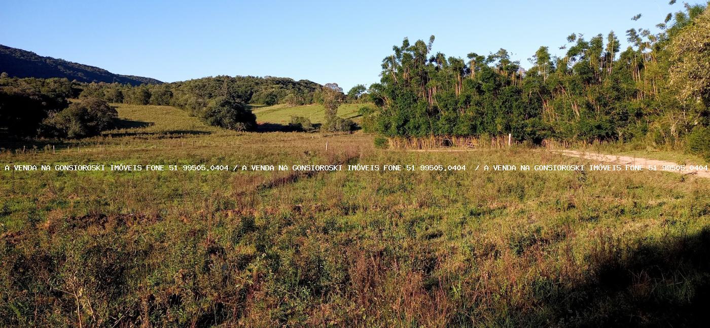 Fazenda-Sítio-Chácara, 6 hectares - Foto 19