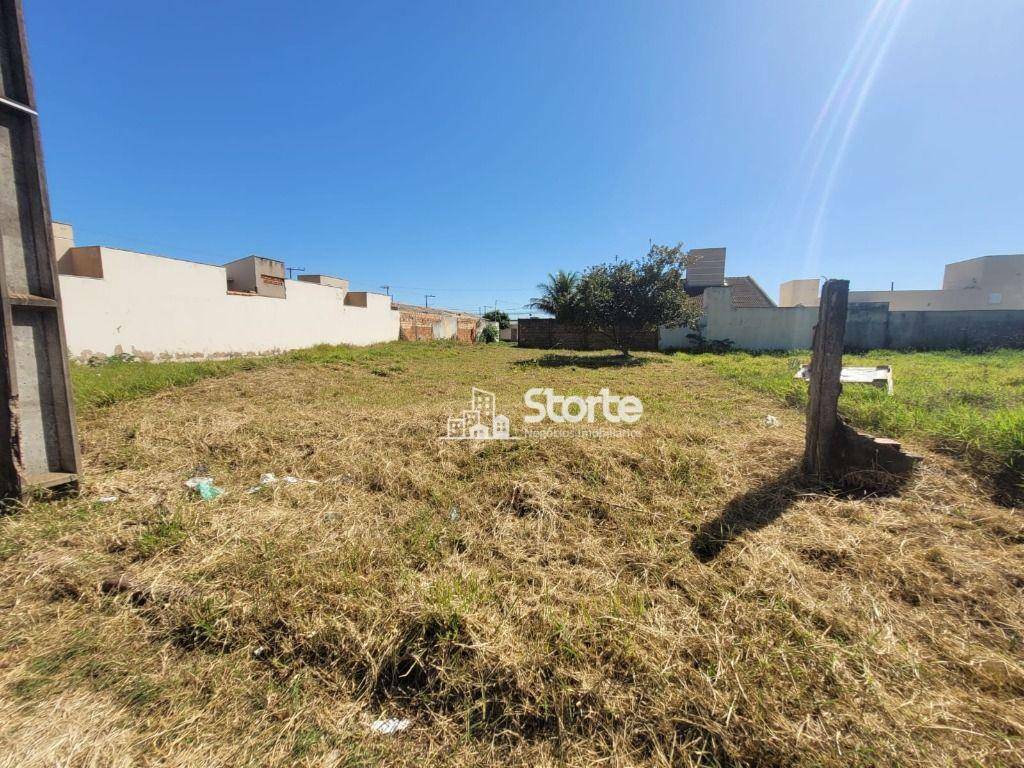 Terreno à venda, 250M2 - Foto 2