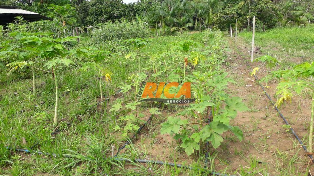 Chácara à venda com 3 quartos, 26000M2 - Foto 5