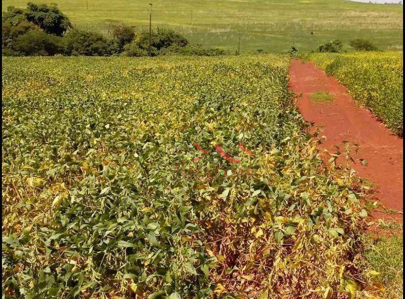 Fazenda à venda, 151734M2 - Foto 4
