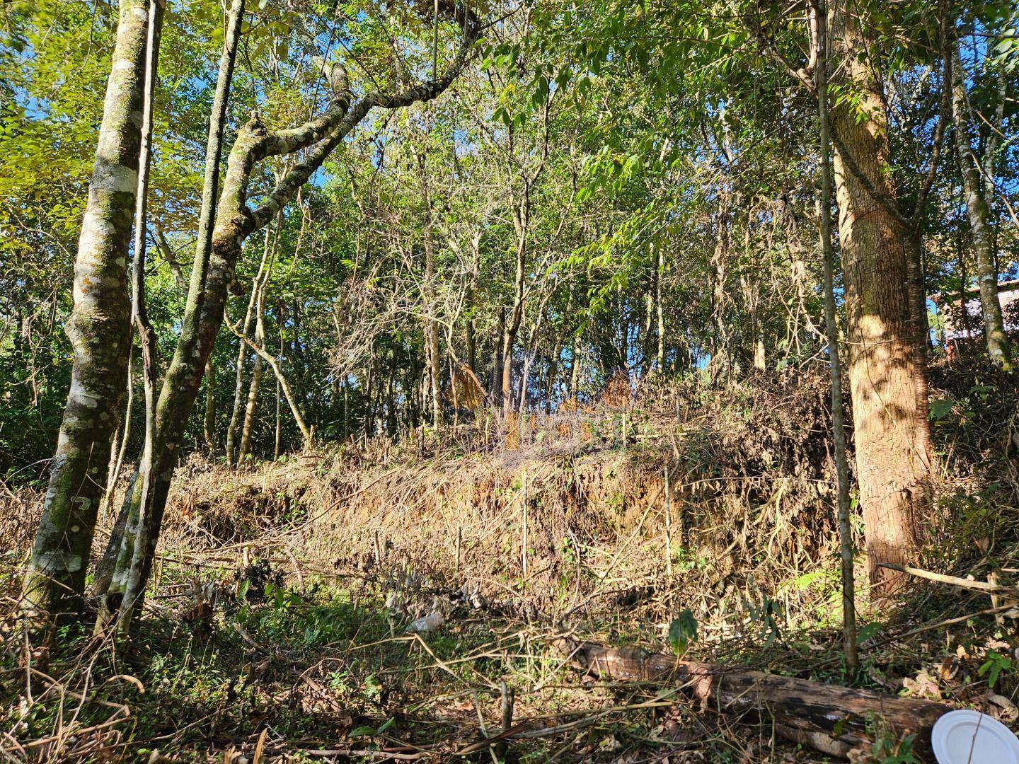 Terreno à venda, 1100M2 - Foto 3