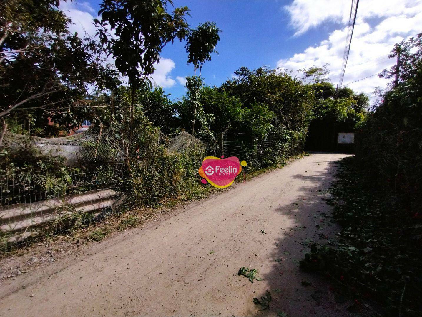 Terreno à venda, 392M2 - Foto 6