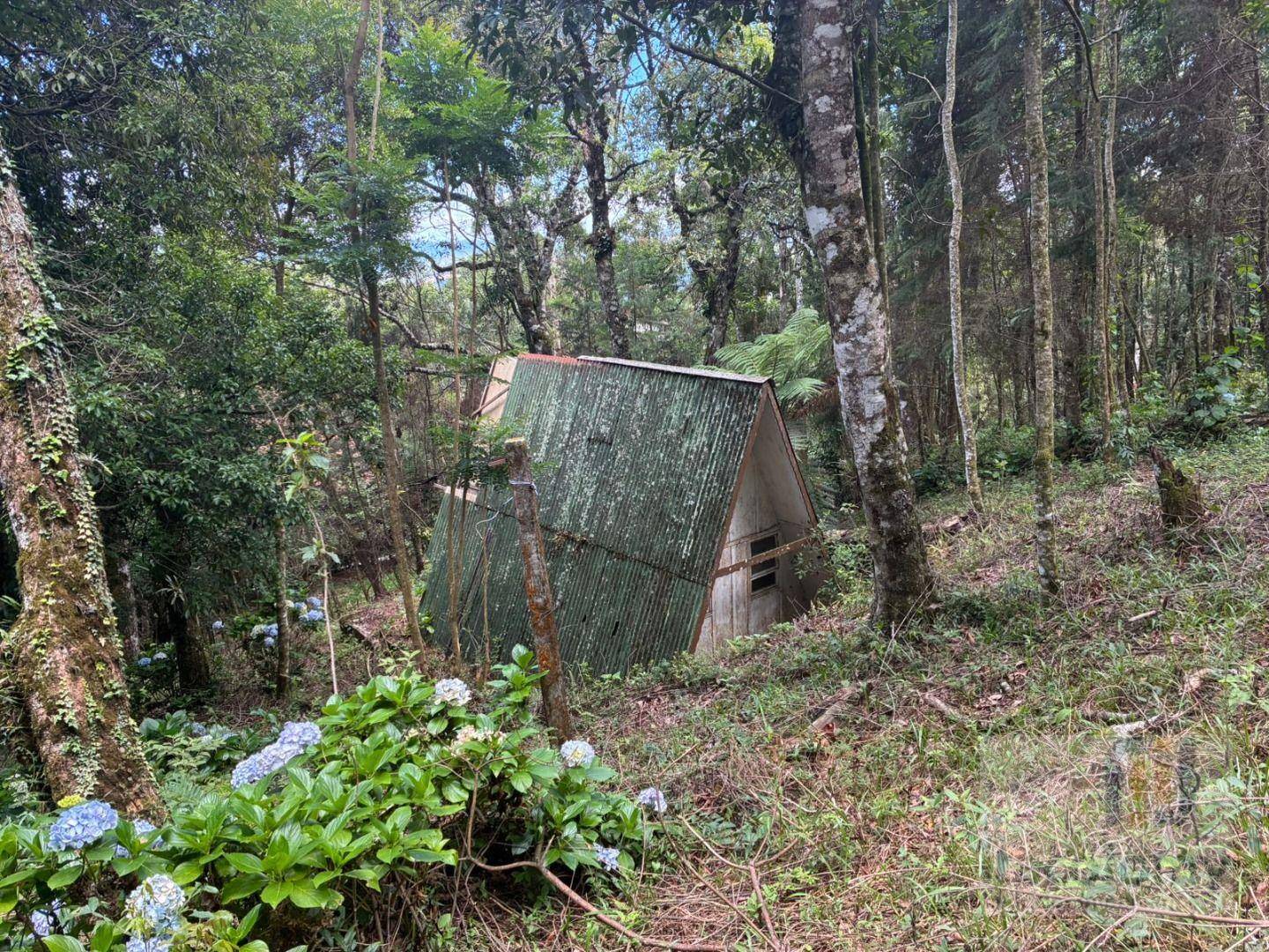 Terreno, 1046 m² - Foto 11