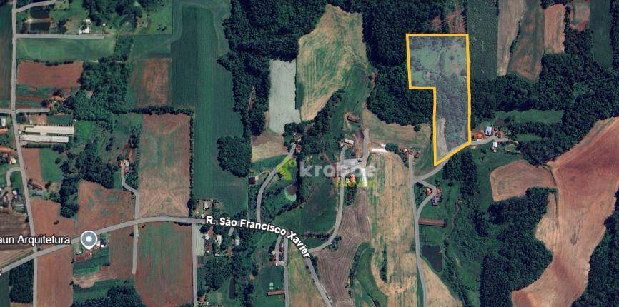 Terreno, 4 hectares - Foto 4