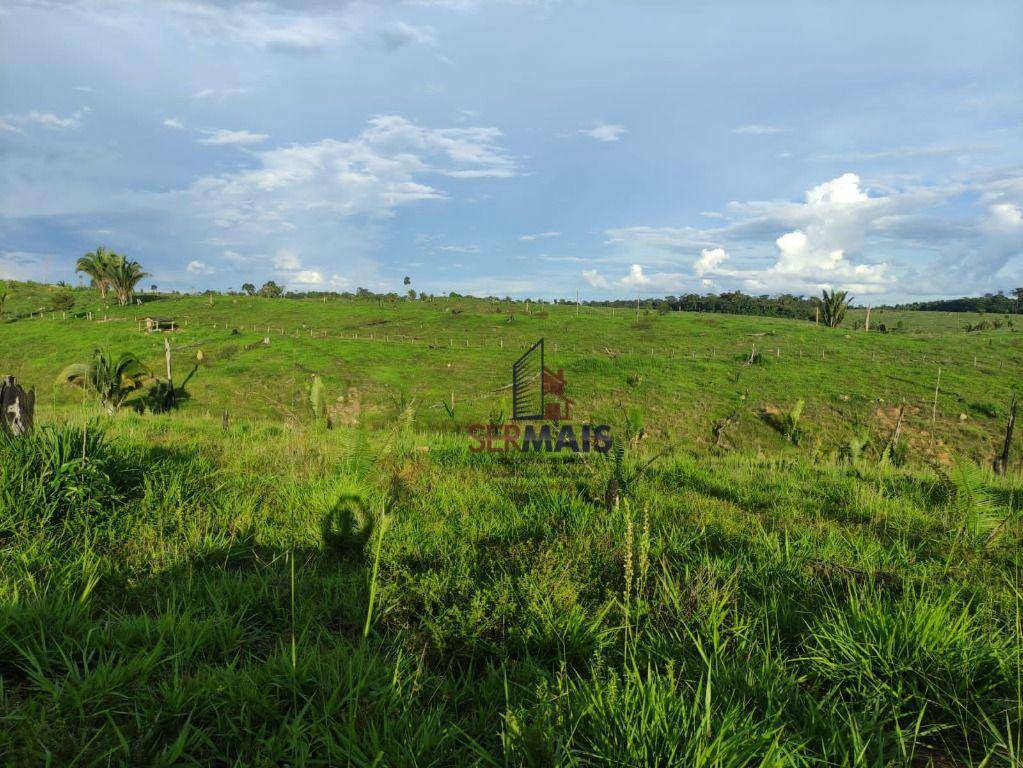 Fazenda à venda com 1 quarto, 2541000M2 - Foto 13