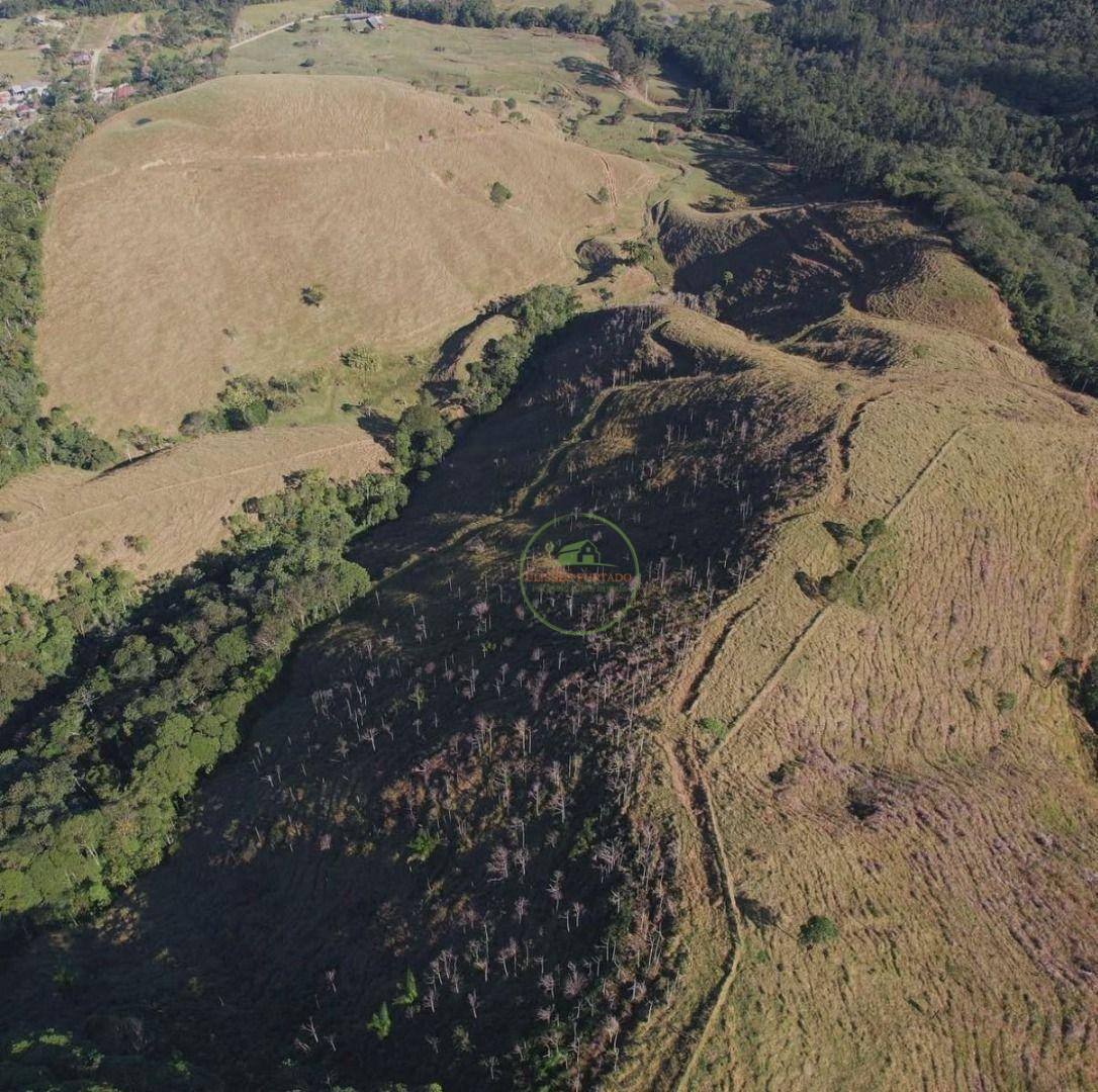 Fazenda, 260 hectares - Foto 3