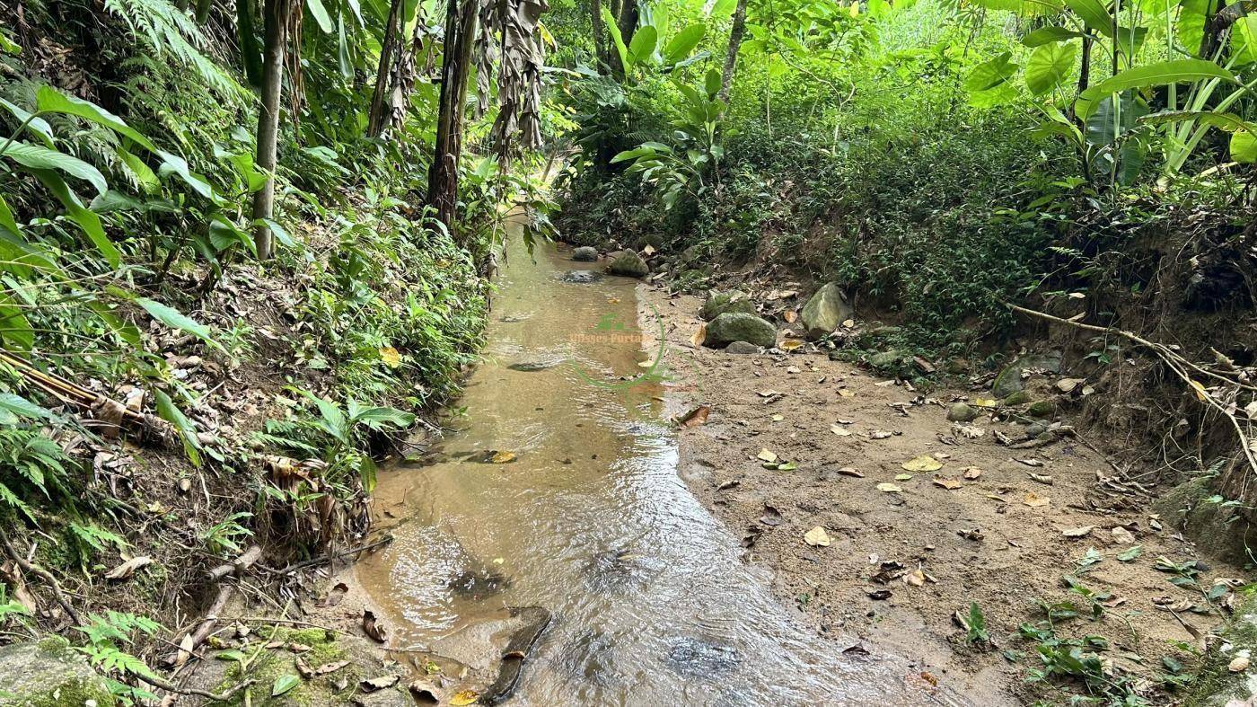 Terreno, 1800 m² - Foto 3