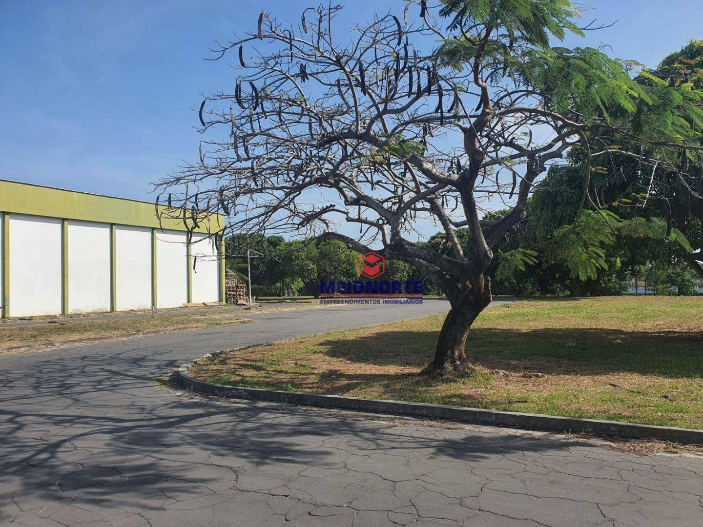 Depósito-Galpão-Armazém à venda e aluguel, 2983m² - Foto 8