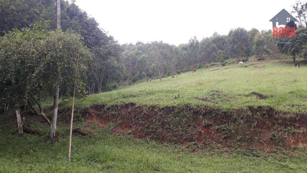 Terreno à venda, 500000M2 - Foto 19