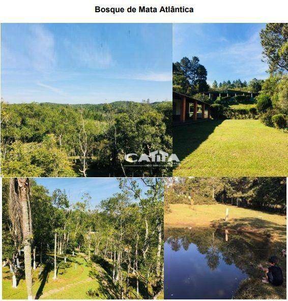 Sítio à venda com 16 quartos, 2854m² - Foto 20
