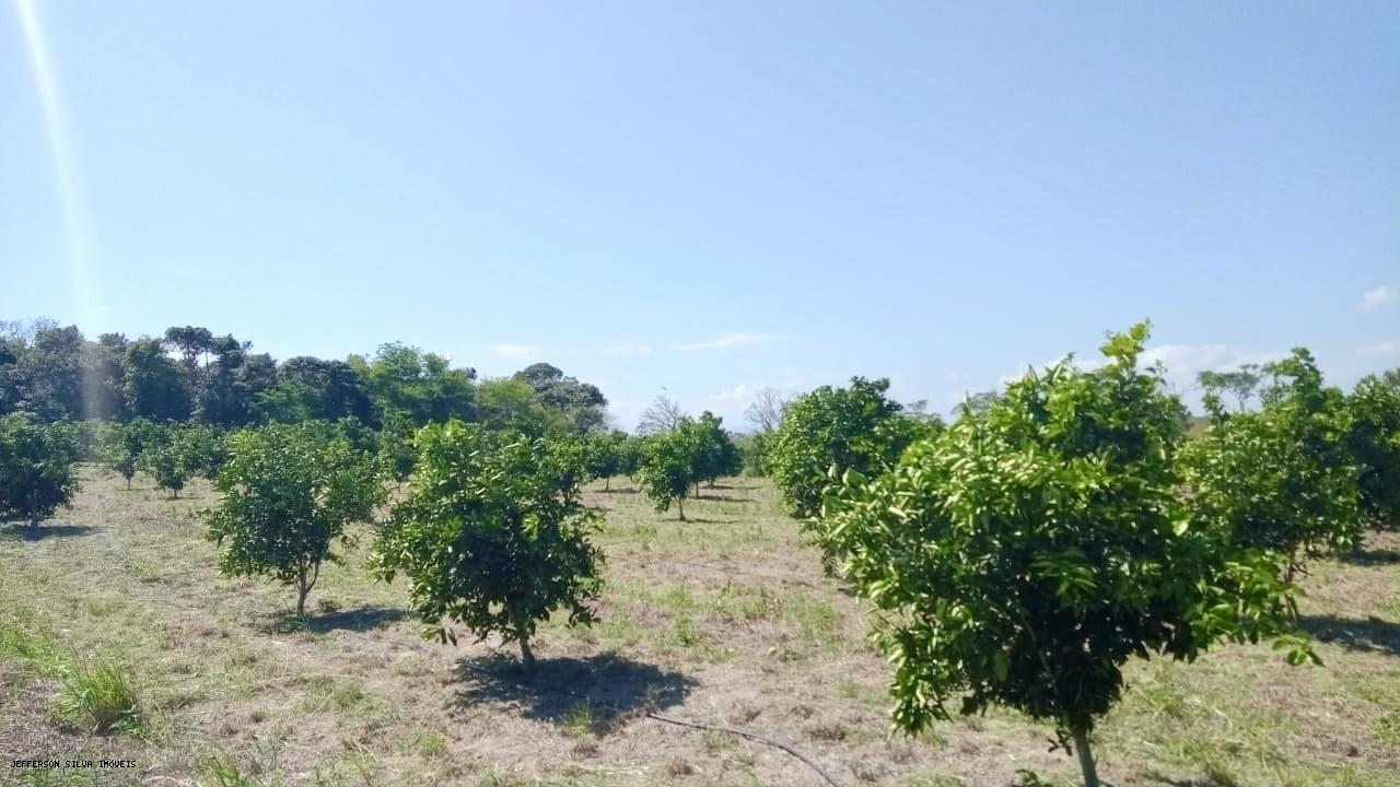 Fazenda à venda, 500000m² - Foto 3