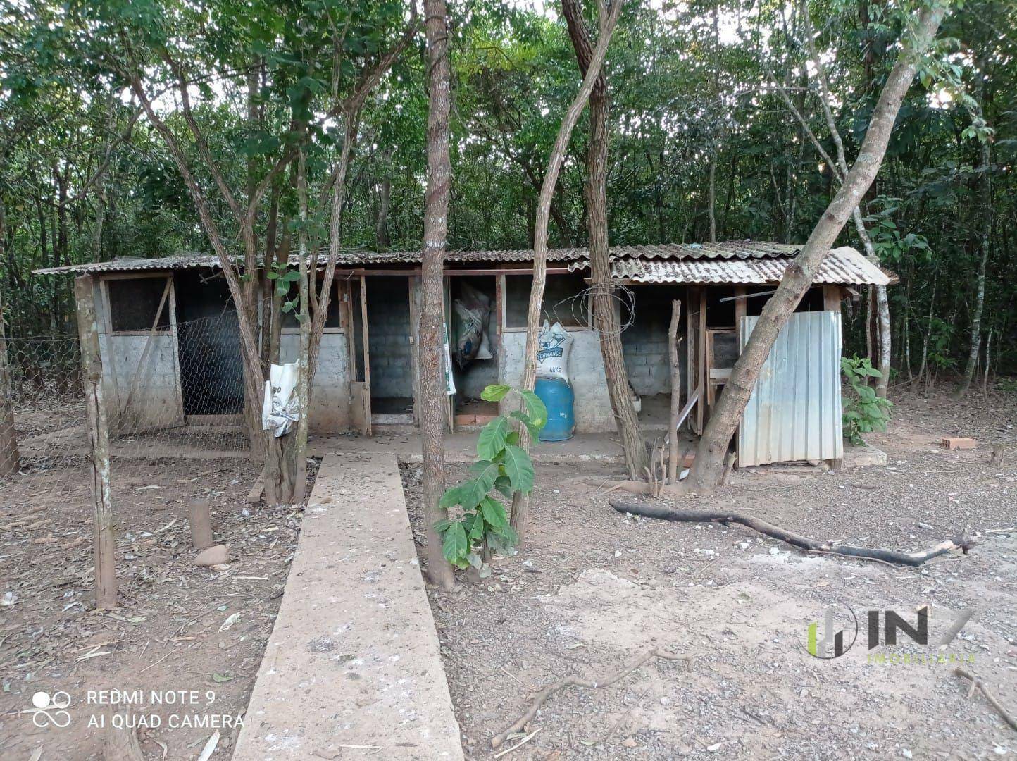 Chácara à venda com 6 quartos, 72600M2 - Foto 23