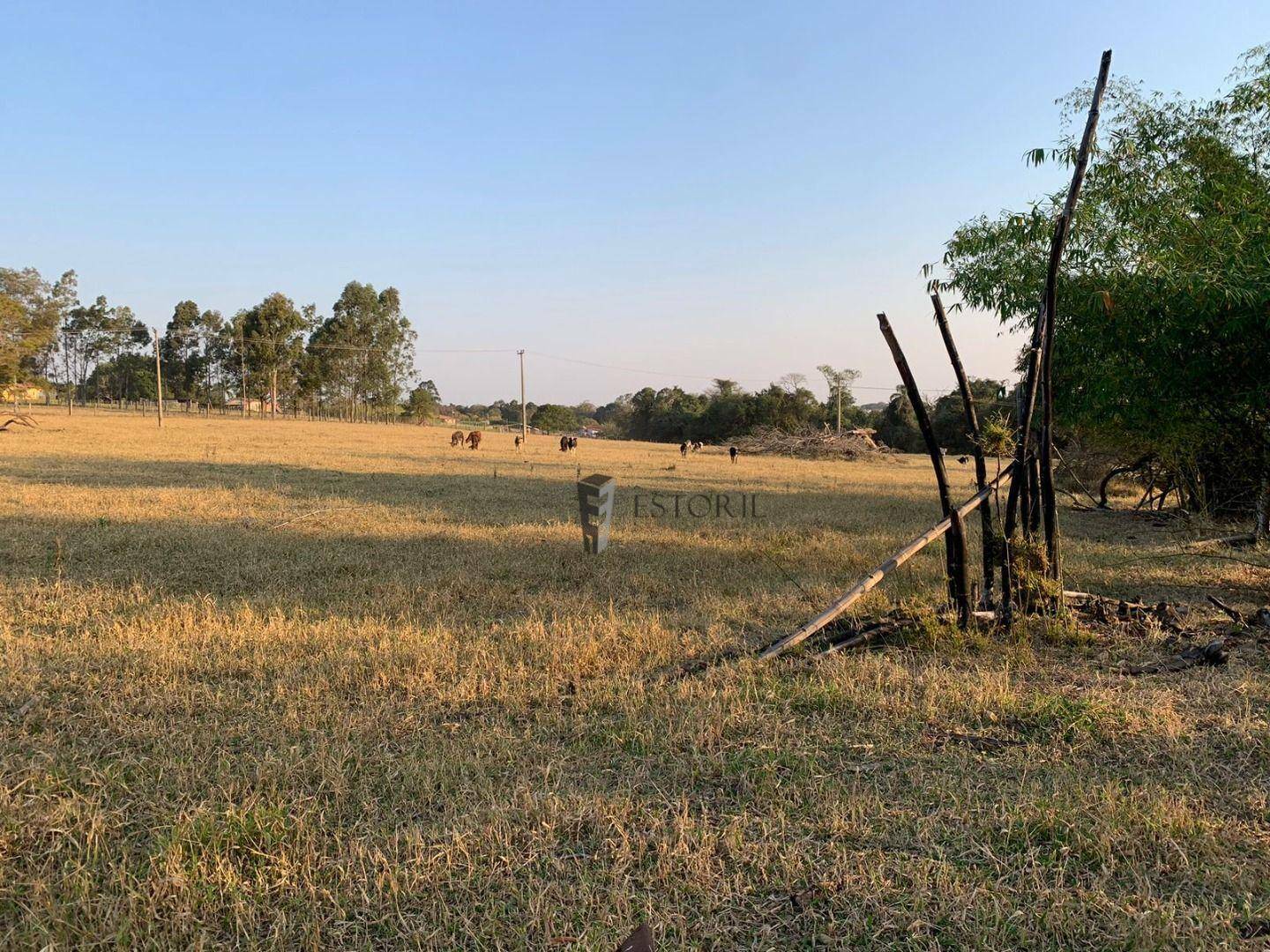 Terreno à venda, 41140M2 - Foto 3