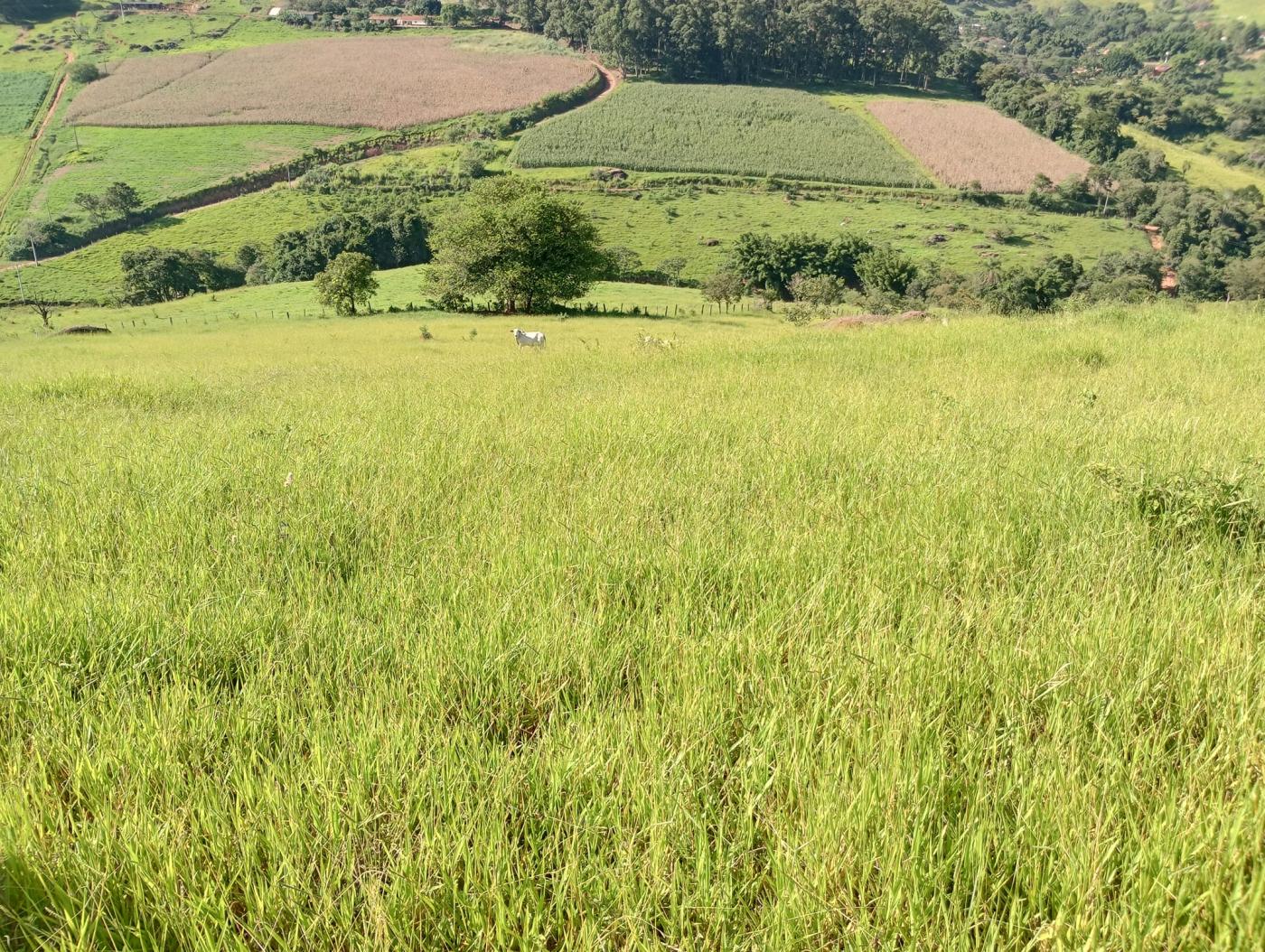 Terreno à venda, 72600m² - Foto 10