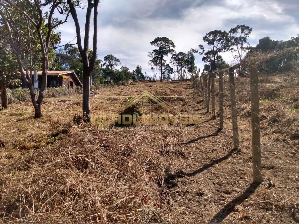 Terreno à venda, 3000m² - Foto 13