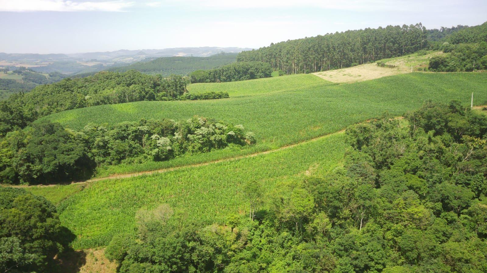 Loteamento e Condomínio à venda, 90000m² - Foto 10