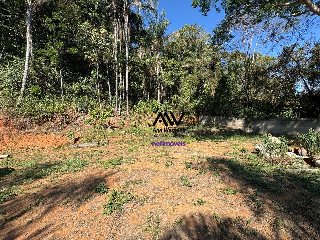 Sítio, 2 quartos, 1000 m² - Foto 4