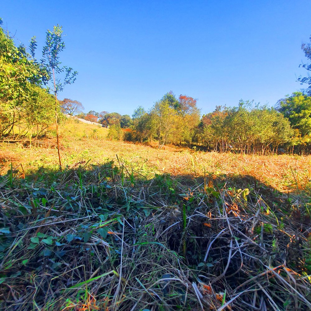 Terreno à venda, 1290m² - Foto 30