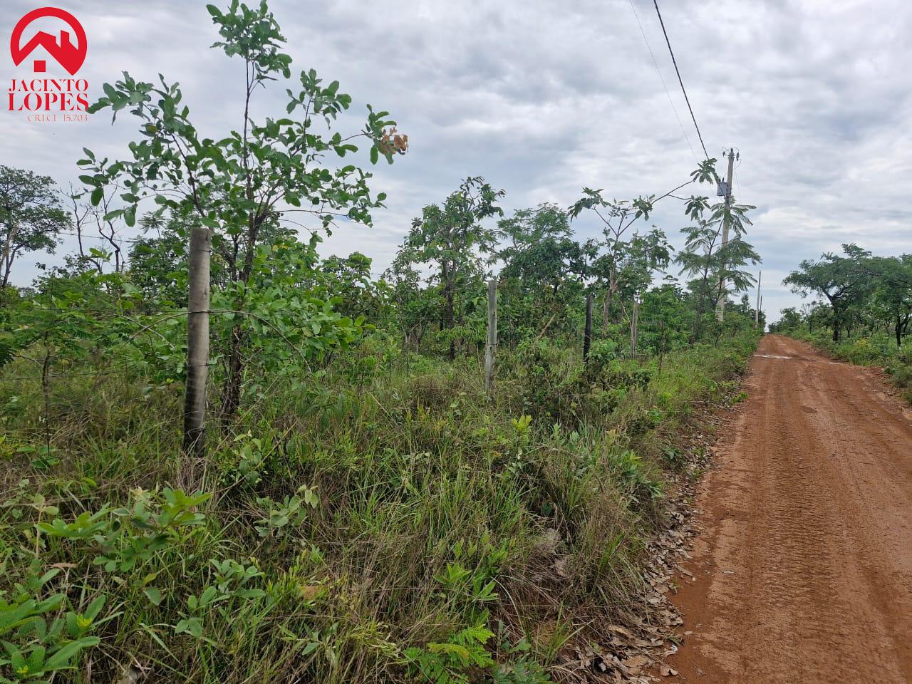 Fazenda à venda, 20000m² - Foto 6