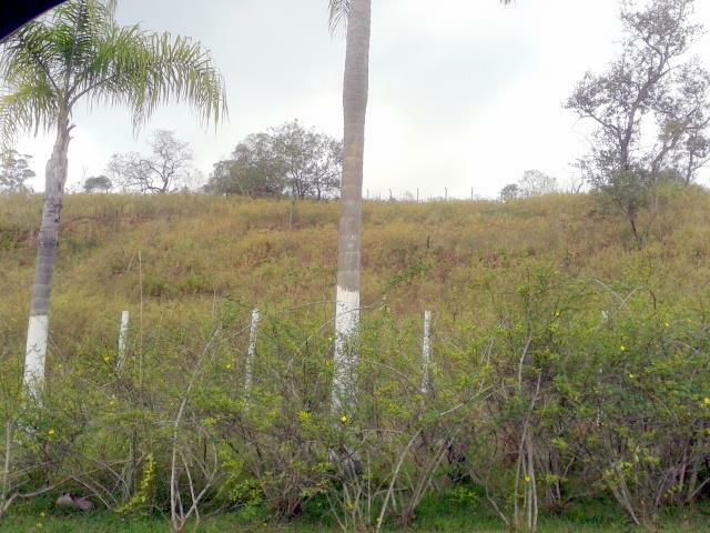 Terreno à venda, 31350M2 - Foto 3