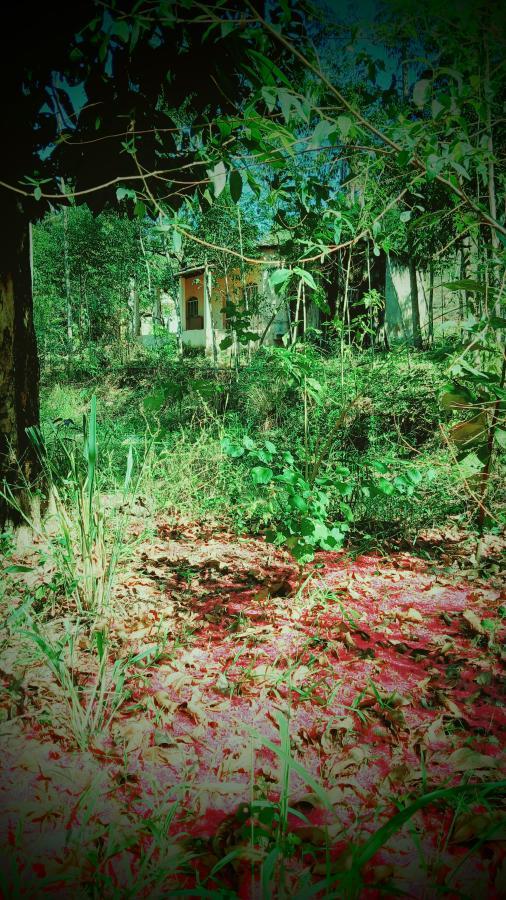 Fazenda à venda com 1 quarto, 10000m² - Foto 1