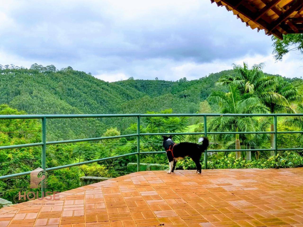 Fazenda à venda, 410000M2 - Foto 5
