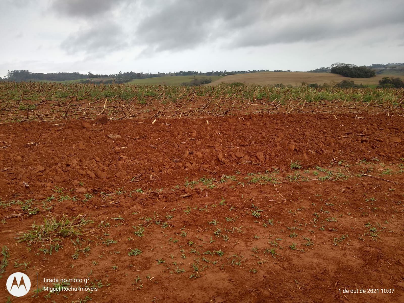 Fazenda à venda com 8 quartos, 3146000m² - Foto 3