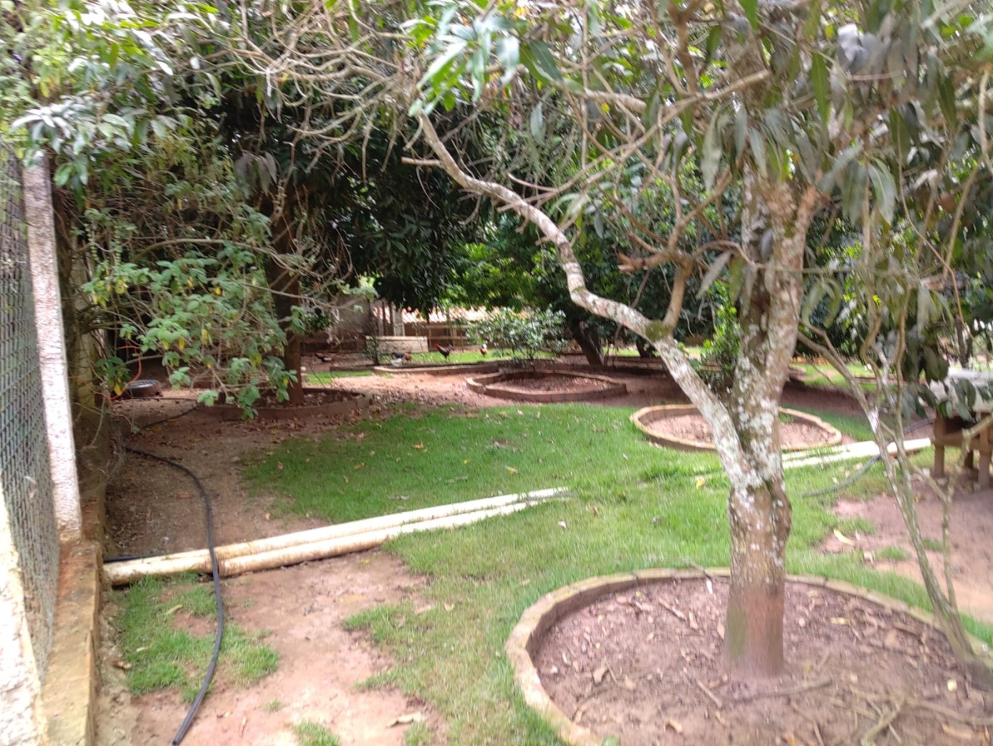 Chácara à venda com 5 quartos, 2900m² - Foto 33