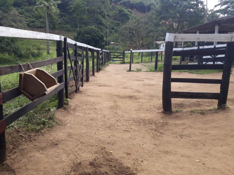 Fazenda-Sítio-Chácara, 441 hectares - Foto 3