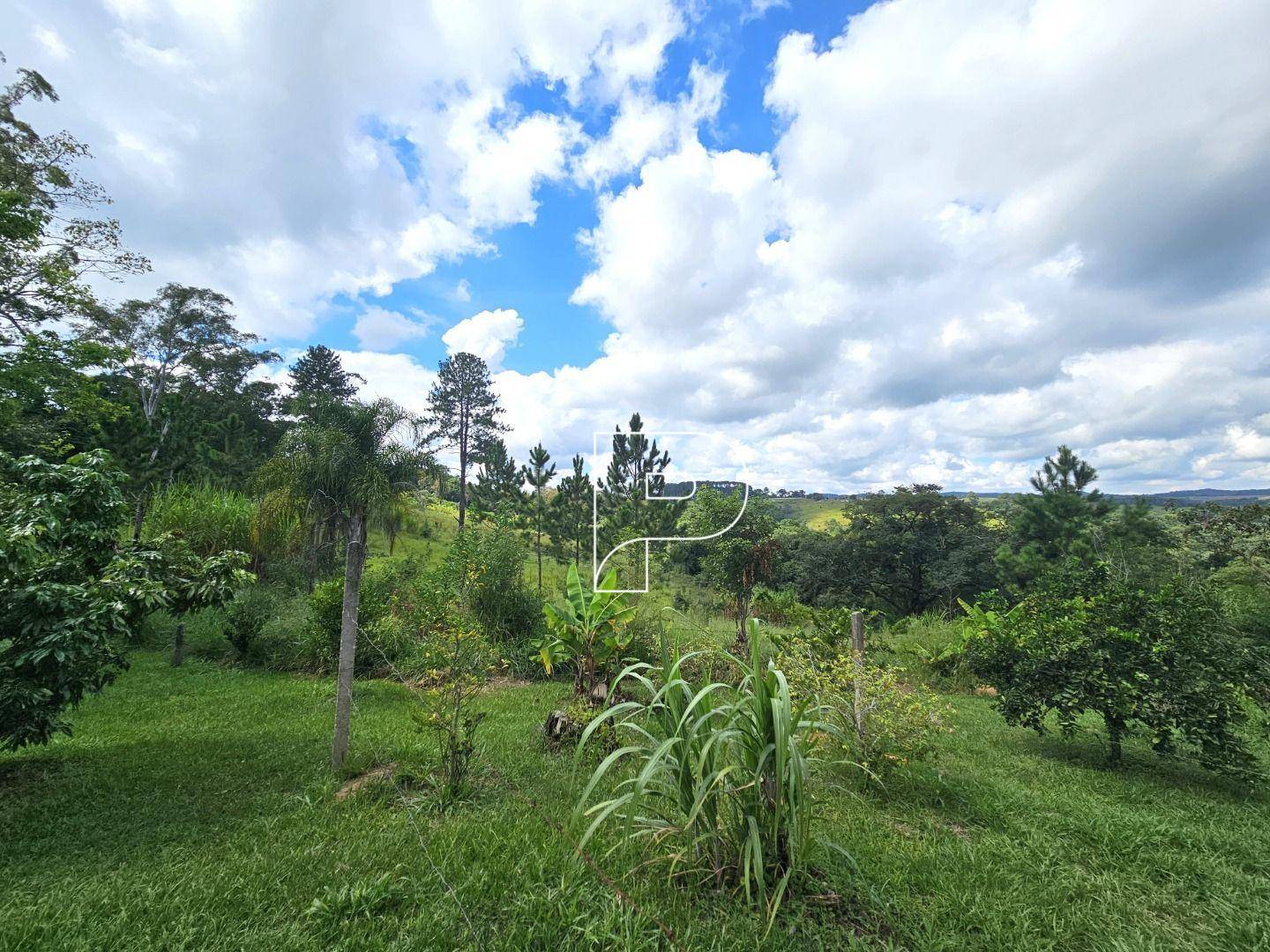 Terreno, 4 hectares - Foto 21