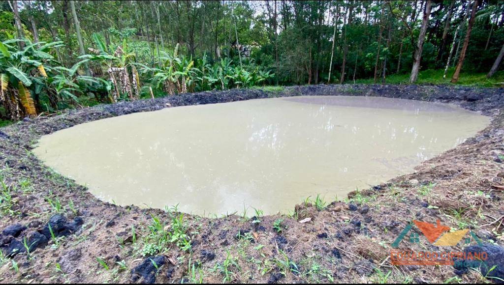 Chácara, 3 quartos, 2 hectares - Foto 8