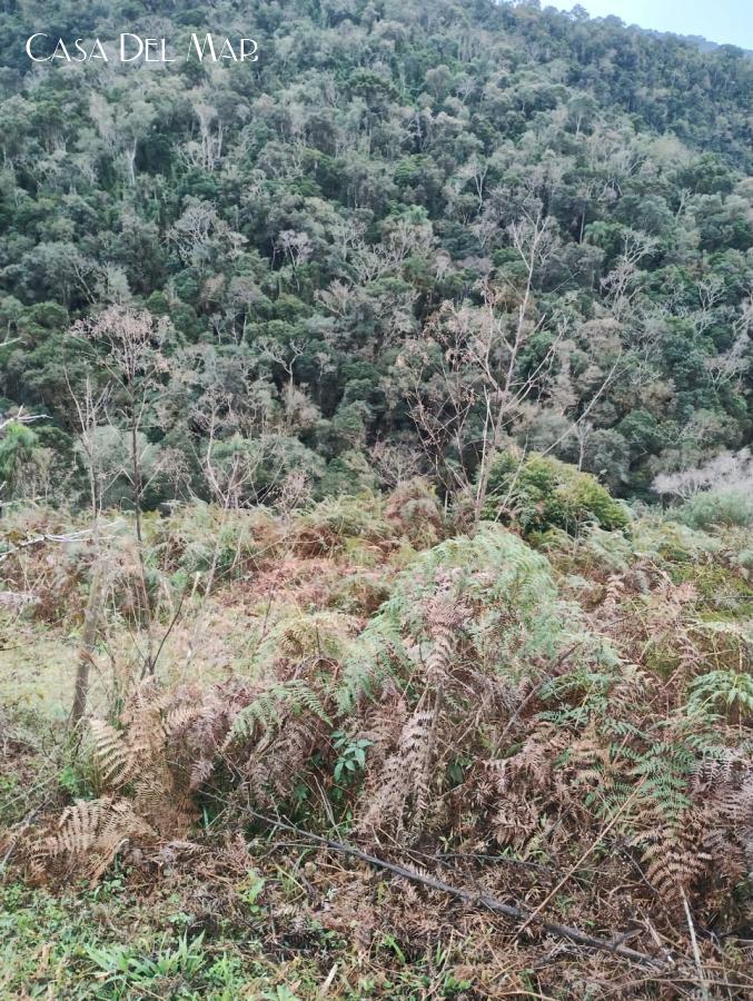 Fazenda à venda, 20000m² - Foto 6