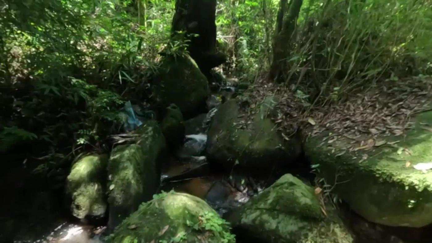 Chácara, 1 quarto, 8360 m² - Foto 3