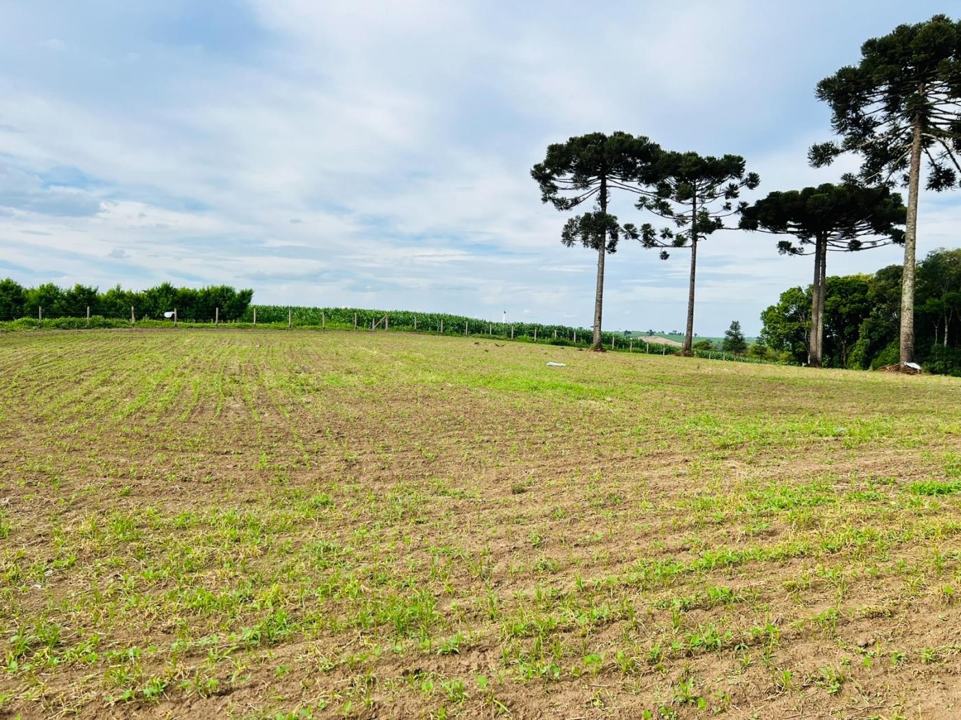 Chácara à venda, 28000m² - Foto 56