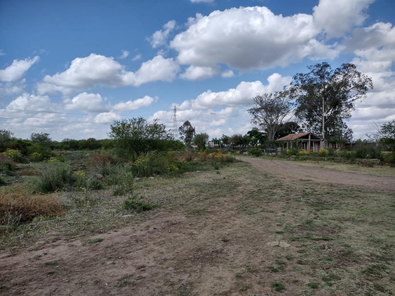 Fazenda-Sítio-Chácara - Foto 22