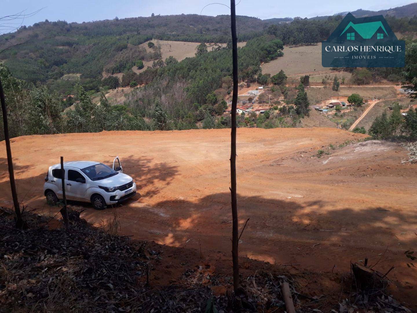 Terreno à venda, 10000M2 - Foto 4