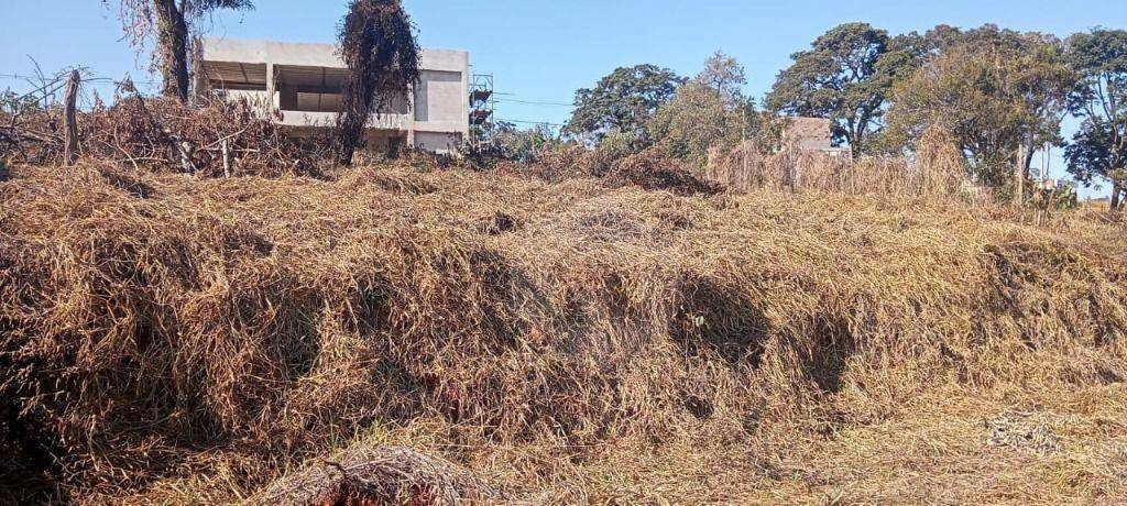 Loteamento e Condomínio à venda, 1000M2 - Foto 4