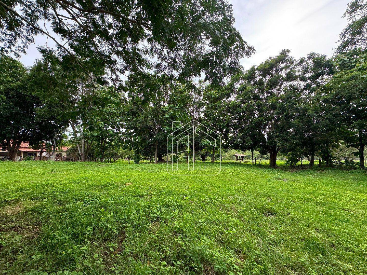 Fazenda à venda com 3 quartos, 26600000M2 - Foto 16