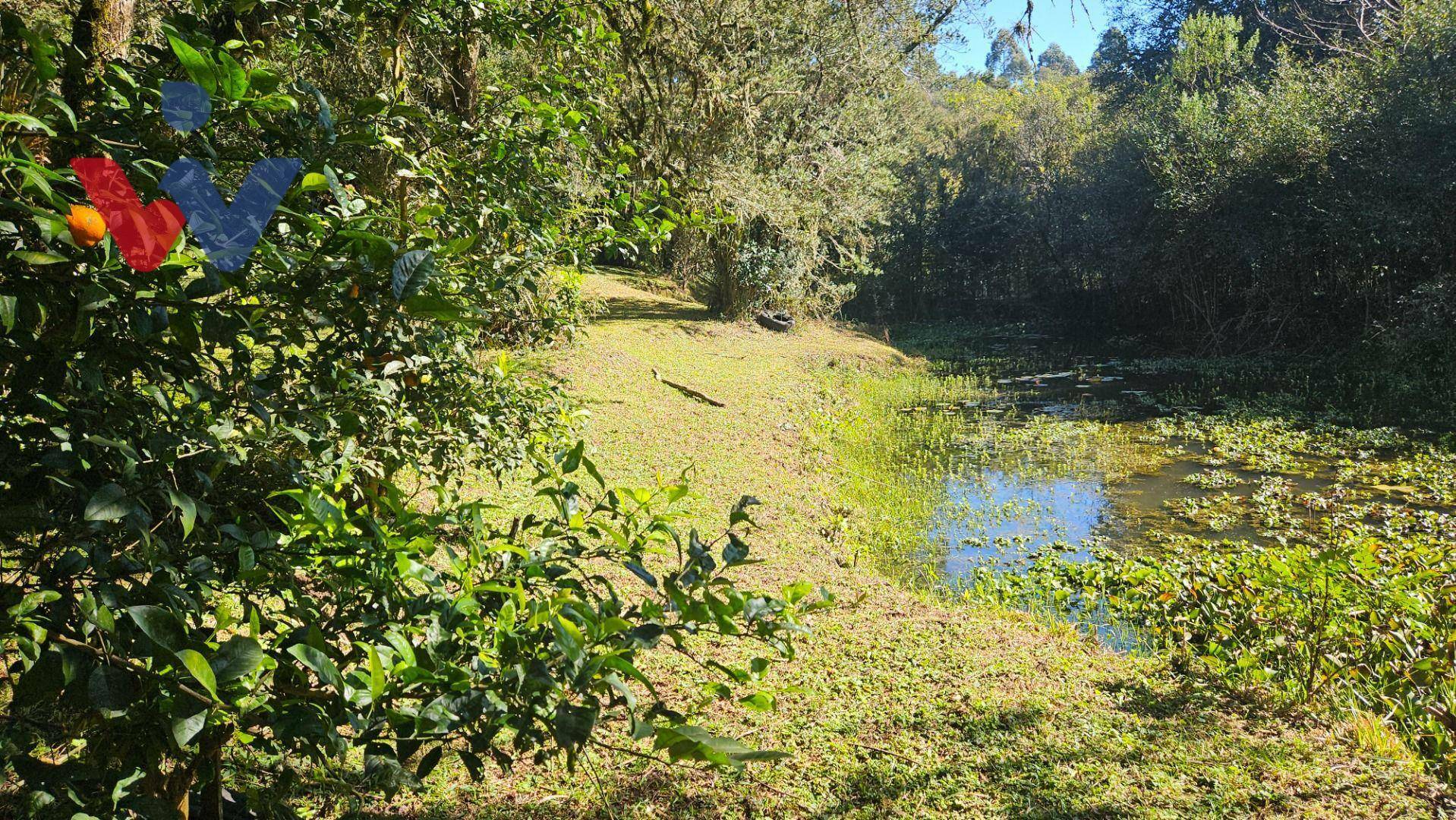 Chácara à venda com 4 quartos, 3700M2 - Foto 38