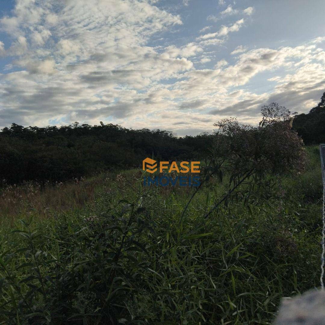 Loteamento e Condomínio à venda, 2940M2 - Foto 2